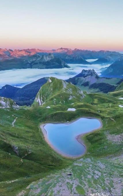 Appartamento L'Escapade Montagneuse Eaux-Bonnes Esterno foto