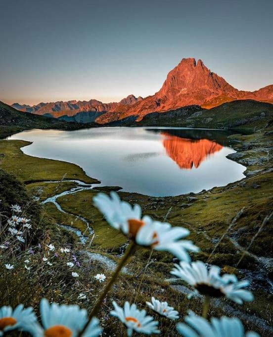 Appartamento L'Escapade Montagneuse Eaux-Bonnes Esterno foto